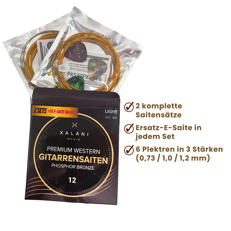 XALANI Gitarrensaiten Westerngitarre 012 – 2er Pack