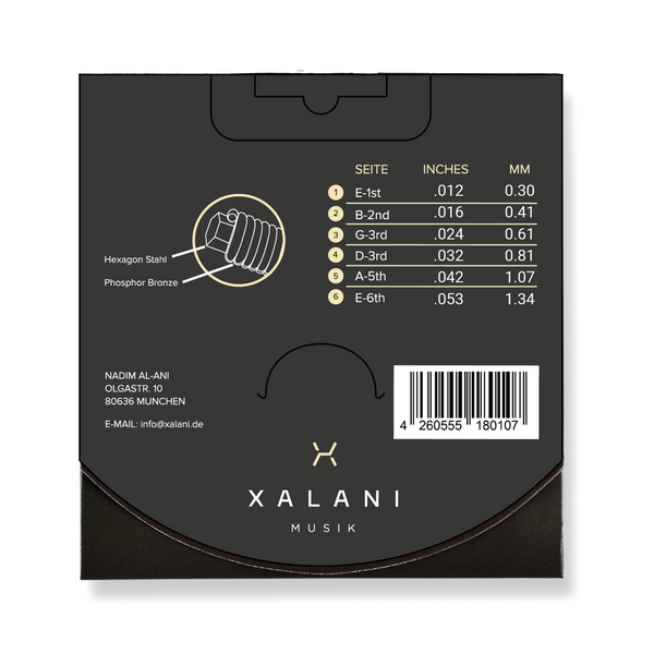 XALANI Gitarrensaiten Westerngitarre 012 – 2er Pack